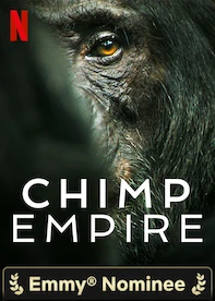 Chimp Empire